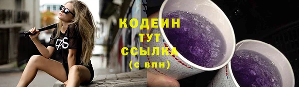 молекула духа Зеленодольск