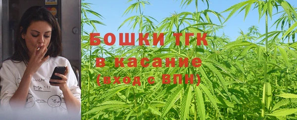 молекула духа Зеленодольск