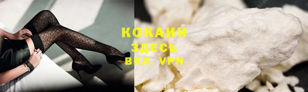 дживик Зеленокумск