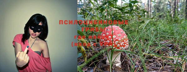 гидра Зерноград
