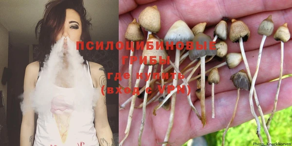 молекула духа Зеленодольск